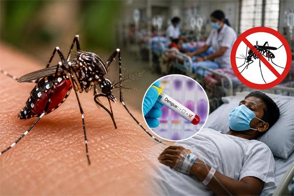 ডেঙ্গুতে আরও ৪ জনের মৃত্যু, হাসপাতালে ভর্তি ১ হাজার ২৫২
