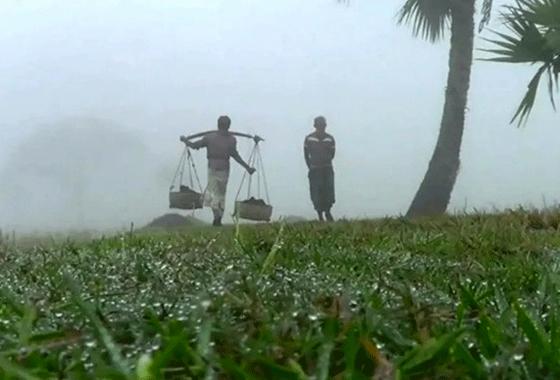 ২১ জেলায় মৃদু থেকে মাঝারি শৈত্যপ্রবাহ, ঘন কুয়াশায় বিপর্যস্ত জনজীবন